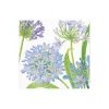 Caspari Paper Cocktail Napkins|Agapanthus Garden Paper Cocktail Napkins - 20 Per Package