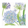 Caspari Paper Luncheon Napkins|Agapanthus Garden Paper Luncheon Napkins - 20 Per Package