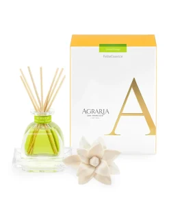 Agraria Home Fragrance & Candles|Petite Essence Diffuser in Lime & Orange - 1 Each