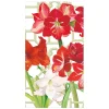 Caspari Paper Guest Towels|Amaryllis Conservatory Guest Towels - includes 15 Guest Towels