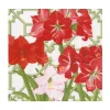 Caspari Paper Luncheon Napkins|Amaryllis Conservatory Luncheon Napkins - includes 20 Luncheon Napkins