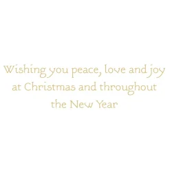 Caspari Christmas And Holiday Cards|Boxed Holiday Cards|Angel Peace Wreath Classic Boxed Christmas Cards - includes 15 cards & envelopes
