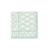 Caspari Paper Luncheon Napkins|Capri|Bamboo Screen Robin's Egg Paper Linen Luncheon Napkins - 15 Per Package
