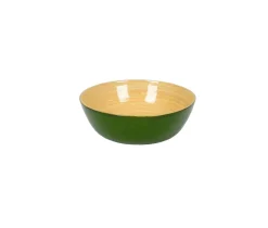 Albert L Punkt Tailgates|Kitchen Essentials|Bamboo Small Salad Bowl in Grass Green - Set of 4