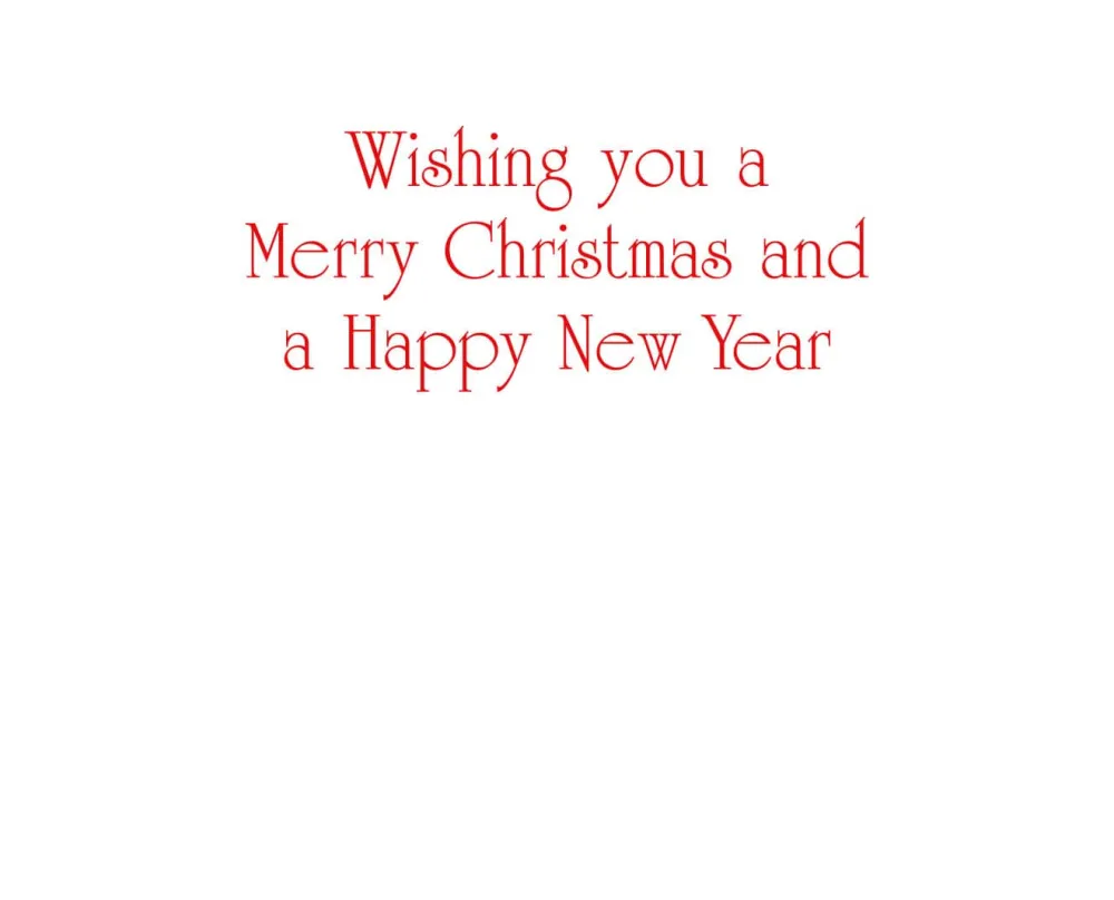 Caspari Christmas And Holiday Cards|Boxed Holiday Cards|Berry Decorated Ornament Classic Embossed Boxed Christmas Cards - includes 10 cards & envelopes