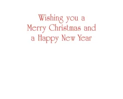 Caspari Christmas And Holiday Cards|Boxed Holiday Cards|Berry Decorated Ornament Classic Embossed Boxed Christmas Cards - includes 10 cards & envelopes