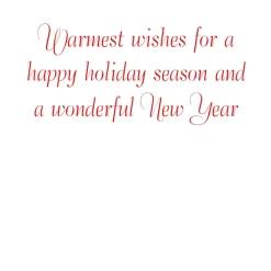 Caspari Greeting Cards|Birds And Berry Branches C-Sized Boxed Christmas Cards - 12 Cards & 13 Envelopes