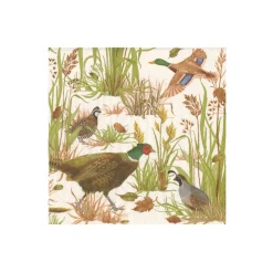 Caspari Boxed Cocktail Napkins|Birds Of A Feather Boxed Cocktail Napkins - 40 Per Box