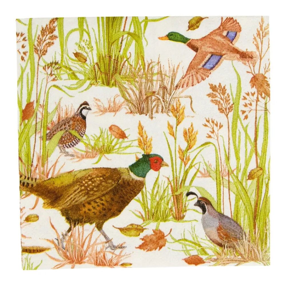 Caspari Paper Cocktail Napkins|Birds Of A Feather Cocktail Napkins - 20 Per Package