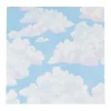 Caspari Paper Luncheon Napkins|Blue Skies Luncheon Napkins - 20 Per Package