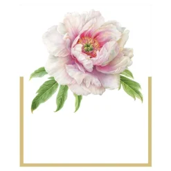 Caspari Bridal Shower|Baby Shower|Blush Place Cards Die Cut Package 8 In