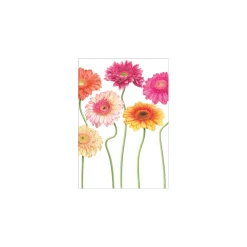 Caspari Greeting Cards|Botanical Blank - Set Of Six Greeting Cards And Envelopes