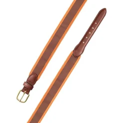 Barrons-Hunter Tailgates|Brown & Orange Grosgrain Belt with Brown Leather