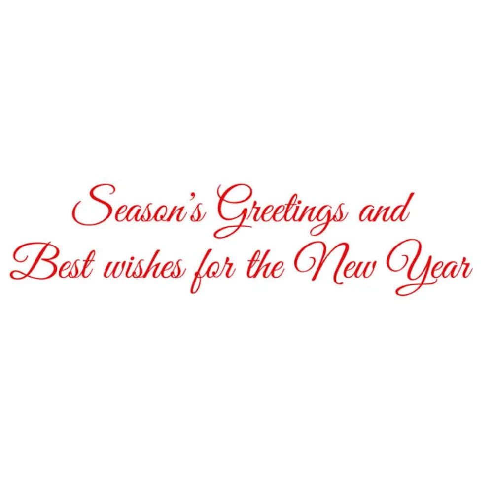 Caspari Christmas And Holiday Cards|Boxed Holiday Cards|Cardinal And Evergreen Petite Boxed Christmas Cards - includes 15 cards & envelopes