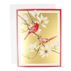 Caspari Christmas And Holiday Cards|Boxed Holiday Cards|Cardinals And Magnolia Classic Boxed Christmas Cards - includes 15 cards & envelopes