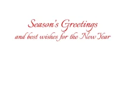 Caspari Christmas And Holiday Cards|Boxed Holiday Cards|Cardinals And Magnolia Classic Boxed Christmas Cards - includes 15 cards & envelopes