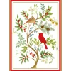 Caspari Christmas And Holiday Cards|Boxed Holiday Cards|Cardinals And Twining Branch Small Boxed Christmas Cards - includes 15 cards & envelopes