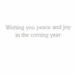 Caspari Christmas And Holiday Cards|Boxed Holiday Cards|Chickadee And Magnolia Large Boxed Christmas Cards - includes 15 cards & envelopes