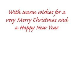 Caspari Christmas And Holiday Cards|Boxed Holiday Cards|Christmas Birdhouse Classic Boxed Christmas Cards - includes 15 cards & envelopes