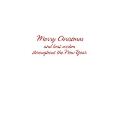 Caspari Christmas And Holiday Cards|Boxed Holiday Cards|Christmas Canines Classic Boxed Christmas Cards - includes 15 cards & envelopes