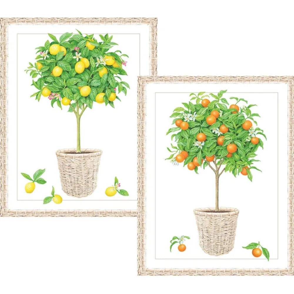 Caspari Note Cards|Citrus Topiaries Assorted Embossed Boxed Note Cards - 10 Note Cards & 10 Envelopes