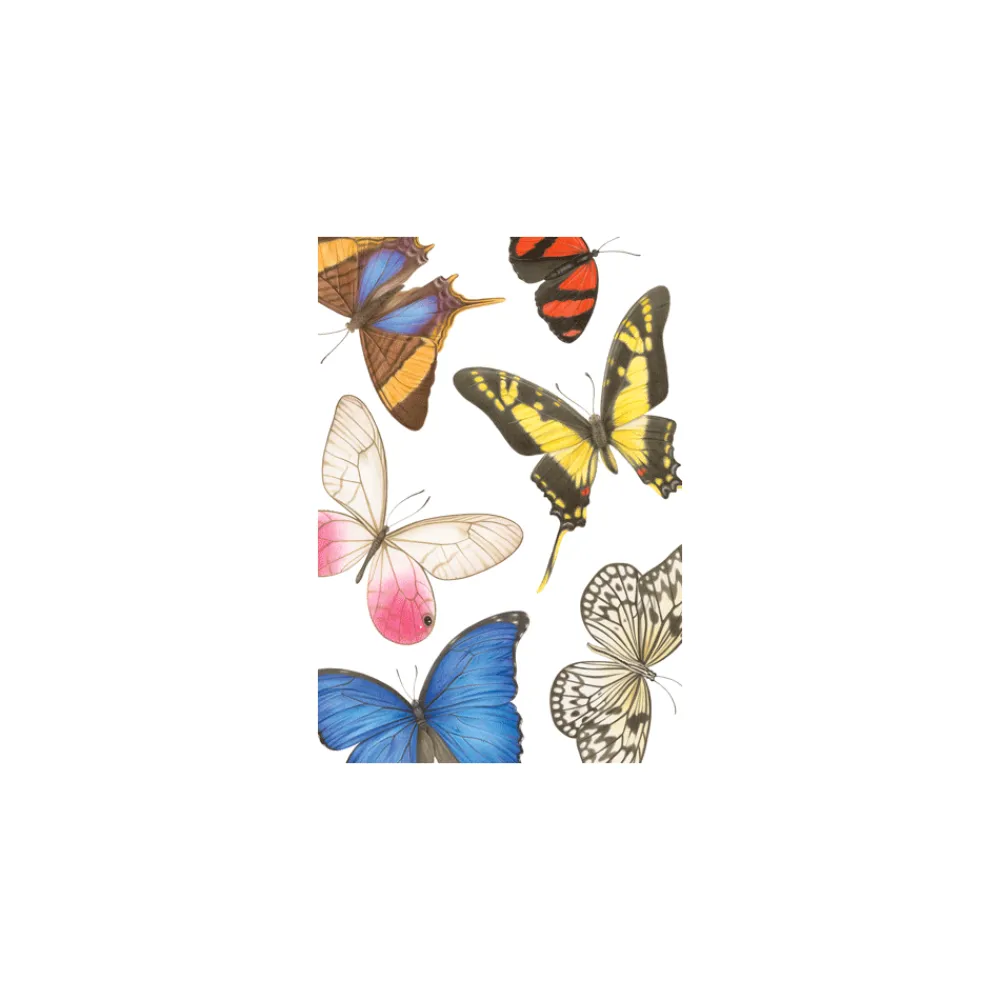 Caspari Greeting Cards|Classic Blanks - Set Of Six Greeting Cards And Envelopes