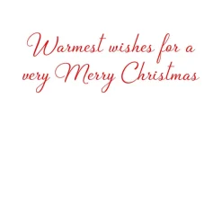 Caspari Christmas And Holiday Cards|Boxed Holiday Cards|Decorated Staircase And Christmas Tree Classic Boxed Christmas Cards - includes 15 cards & envelopes