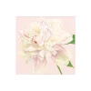 Caspari Paper Cocktail Napkins|Duchess Peonies Paper Cocktail Napkins in Blush - 20 Per Package