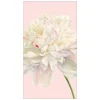 Caspari Paper Guest Towels|Duchess Peonies Paper Guest Towel Napkins in Blush - 15 Per Package