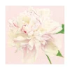 Caspari Paper Luncheon Napkins|Duchess Peonies Paper Luncheon Napkins in Blush - 20 Per Package