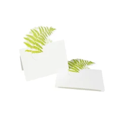 Caspari Bridal Shower|Place Cards|Fern Garden Place Cards - 8 Per Package