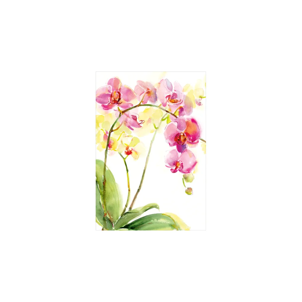 Caspari Greeting Cards|Floral Blank - Set Of Six Greeting Cards And Envelopes
