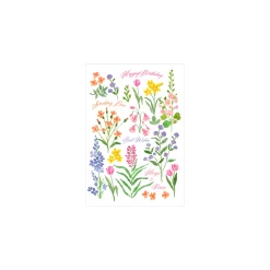 Caspari Greeting Cards|Floral Whimsy Birthday - Set Of Six Greeting Cards And Envelopes