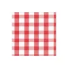 Caspari Paper Cocktail Napkins|Gingham Paper Cocktail Napkins in Red - 20 Per Package