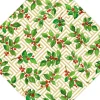 Caspari Christmas Placemats & Coasters|Holly And Fretwork Hardback Placemat - 1 count