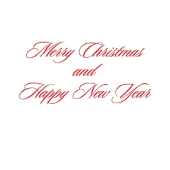 Caspari Christmas And Holiday Cards|Boxed Holiday Cards|Holly Classic Boxed Christmas Cards - includes 15 cards & envelopes