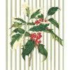Caspari Christmas And Holiday Cards|Boxed Holiday Cards|Holly Sprig Petite Boxed Christmas Cards - includes 15 cards & envelopes