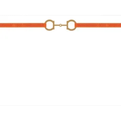 Caspari Correspondence Cards|Horse Bit Combo Foil Correspondence Cards - 12 Card & Envelopes