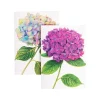 Caspari Mother'S Day|Note Cards|Hydrangeas Boxed Note Cards - 8 Note Cards & 8 Envelopes