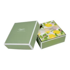 Caspari Boxed Cocktail Napkins|Limoncello Boxed Cocktail Napkins - 40 Per Box