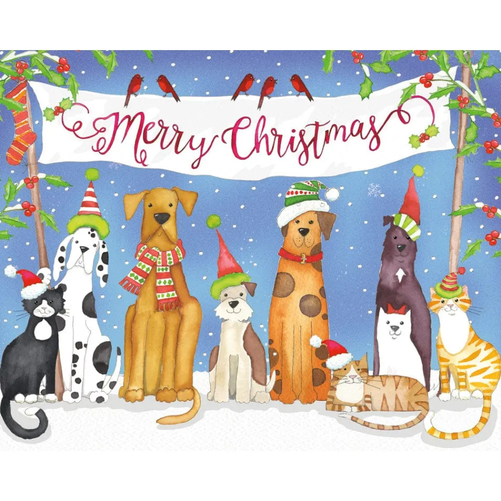 Caspari Christmas And Holiday Cards|Boxed Holiday Cards|Merry Christmas From Pets Classic Boxed Christmas Cards - includes 15 cards & envelopes