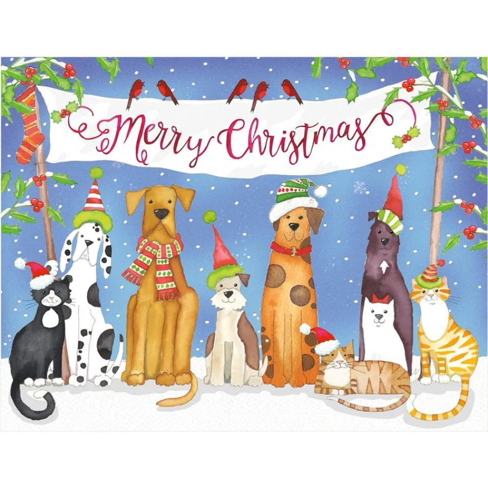 Caspari Christmas And Holiday Cards|Boxed Holiday Cards|Merry Christmas From Pets Classic Boxed Christmas Cards - includes 15 cards & envelopes