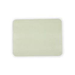 Caspari Placemats|Paper Placemats|Moss Green Lizard Placemat - 1 Per Package