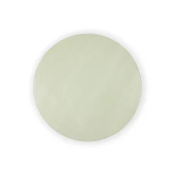 Caspari Placemats|Paper Placemats|Moss Green Lizard Round Placemat - 1 Per Package