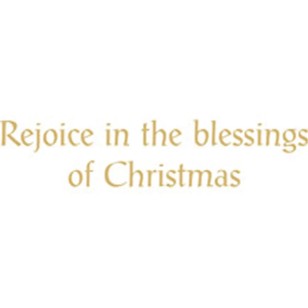 Caspari Christmas And Holiday Cards|Boxed Holiday Cards|Nativity Classic Boxed Christmas Cards - includes 15 cards & envelopes