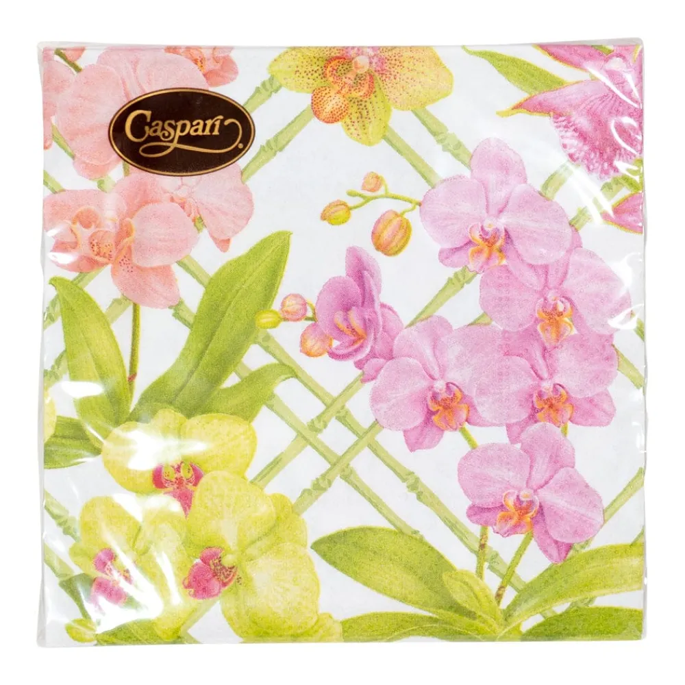 Caspari Paper Cocktail Napkins|Orchid Conservatory Cocktail Napkins - 20 Per Package