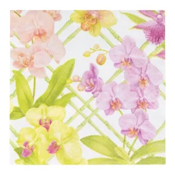Caspari Paper Luncheon Napkins|Orchid Conservatory Luncheon Napkins - 20 Per Package
