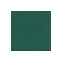 Caspari Christmas Napkins|Graduation Celebration|Paper Linen Solid Cocktail Napkins in Hunter Green - 15 Per Package