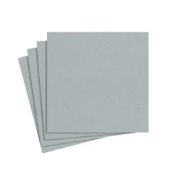 Caspari Cocktail Party|Graduation Celebration|Paper Linen Solid Cocktail Napkins in Silver - 15 Per Package