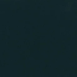 Caspari Graduation Celebration|Paper Dinner Napkins|Paper Linen Solid Dinner Napkins in Black - 12 Per Package